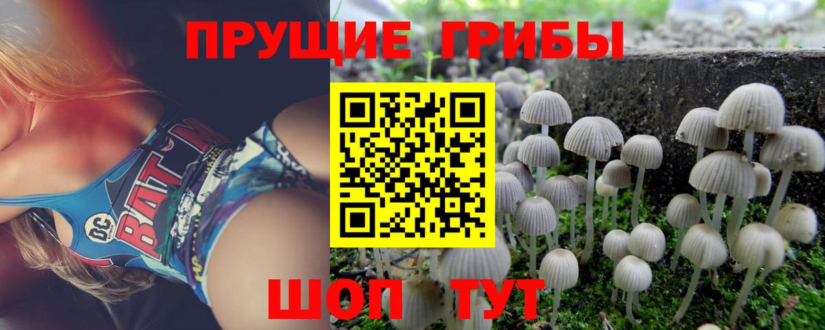 Псилоцибиновые грибы Psilocybine cubensis  Вход с VPN  купить   Фурманов 